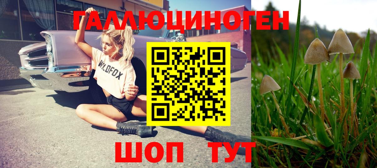 Галлюциногенные грибы MAGIC MUSHROOMS Надым