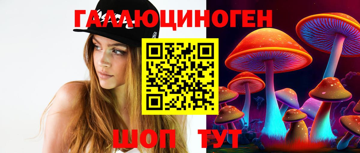 Надым  Галлюциногенные грибы Cubensis  Вход с VPN 